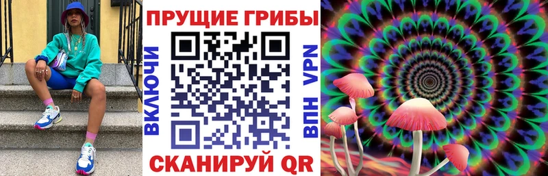 shop состав  Бутурлиновка  Галлюциногенные грибы Magic Shrooms  мега ссылки 